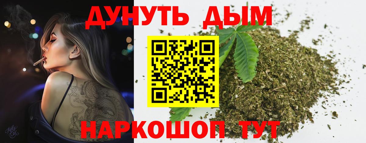 Каннабис индика Юрга